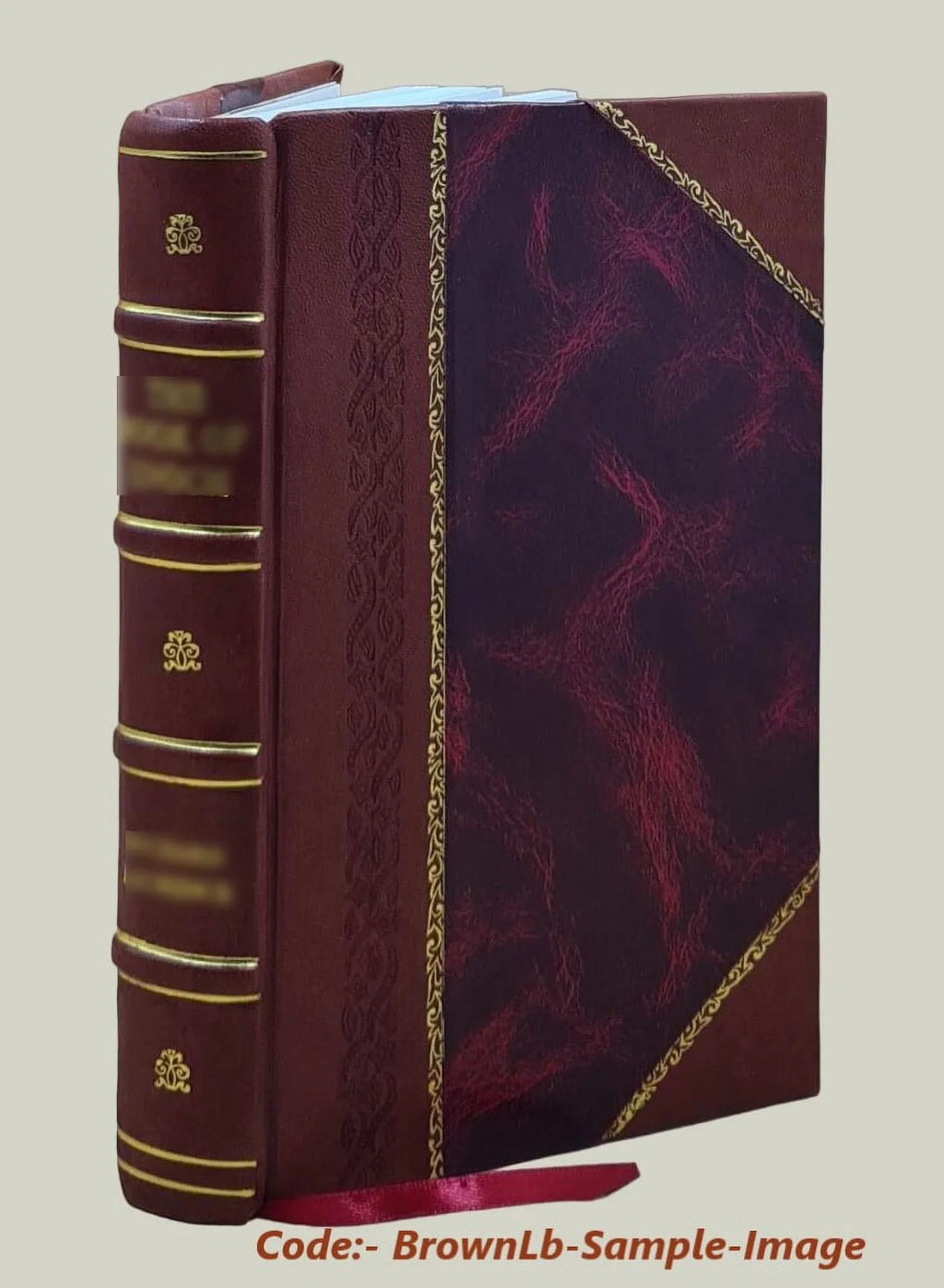 Seas South stories Sundowner. : Noqu the Bound] / from talanoa 1896 [Leather by