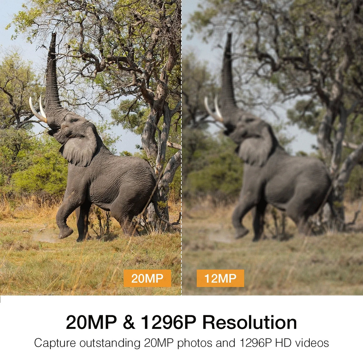 Vision Camera H80 with 20MP Bluetooth CAMPARK Waterproof Game WiFi Trail Hunting 1296P Camera Nigth