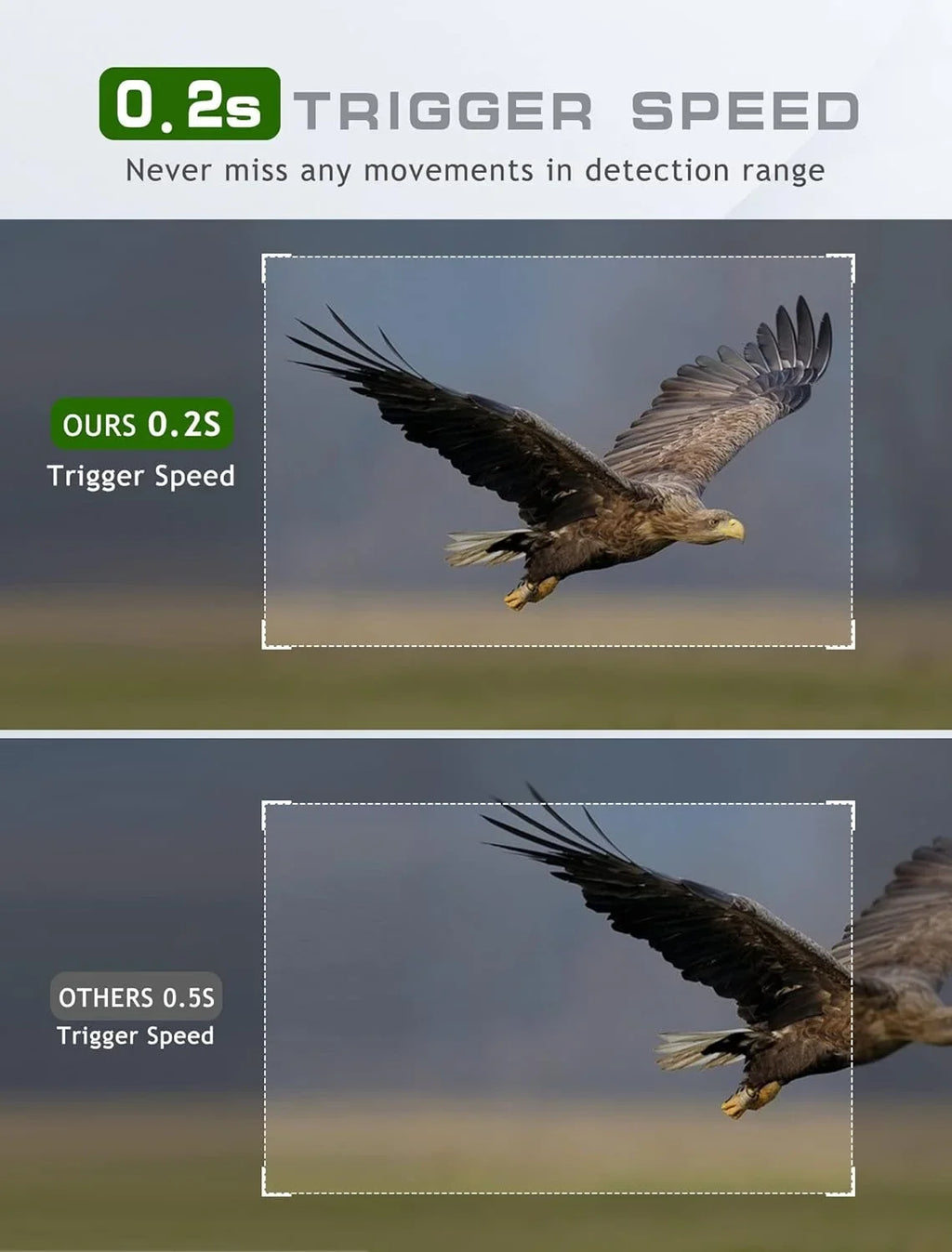 20MP - Waterproof, Mini with Wildlife Night Trigger 0.2s Motion Camera Hunting-M9 Vision Camera Activated Camera Trail for Game 1080P Monitoring Hunting Deer Time