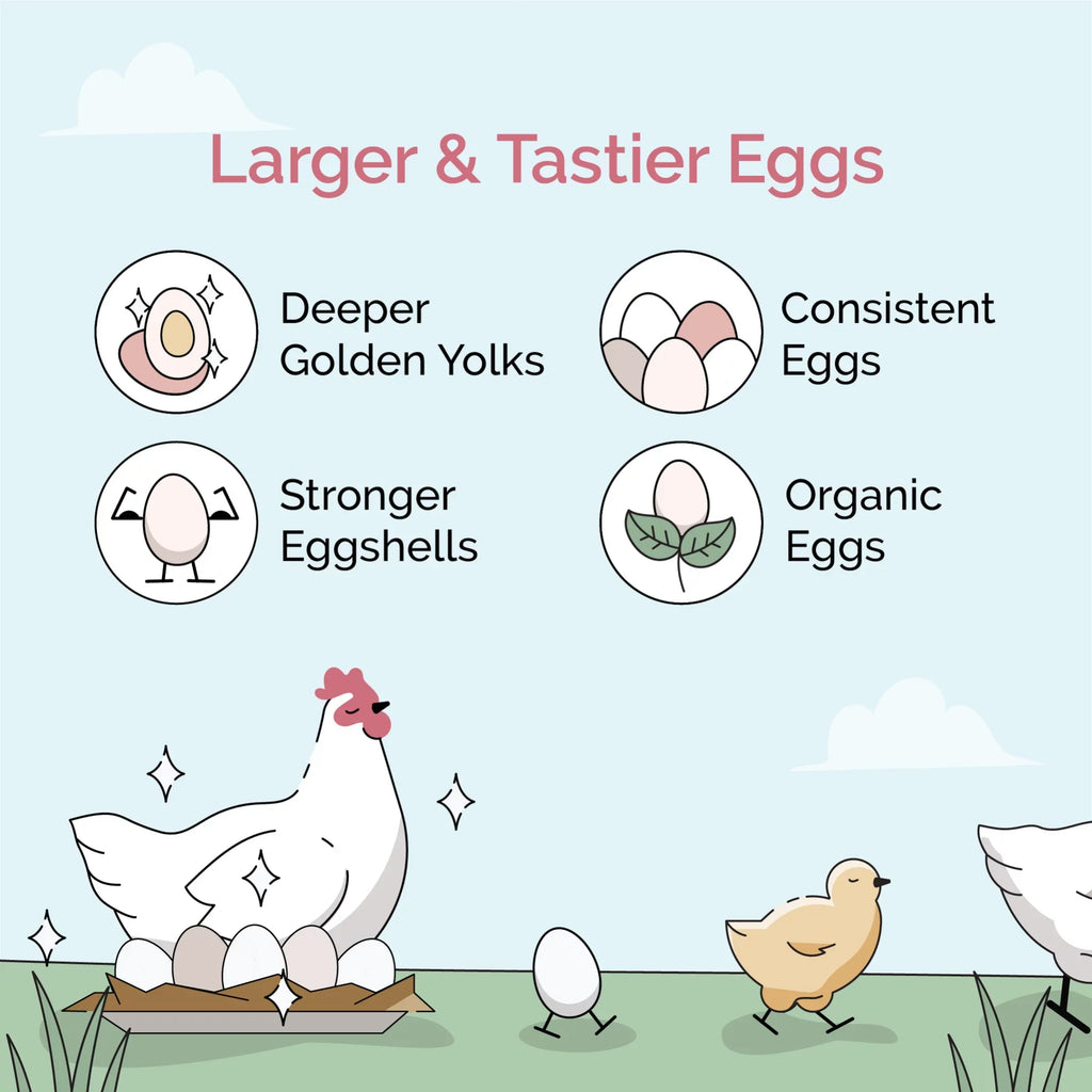 Non-Medicated Grown Organic, US 100% Grains, Organic Non-GMO, Certified Chicken Whole Corn-Free, | Four | Protein | Feed | Chicken Certified | Grain Soy-Free, 18% 46 lbs. Grower Food Mile