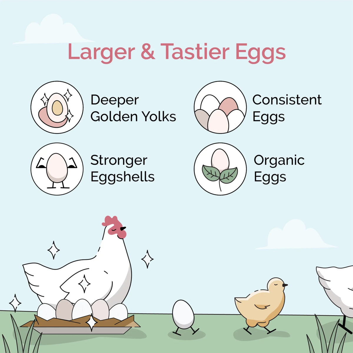 Non-Medicated Grown Organic, US 100% Grains, Organic Non-GMO, Certified Chicken Whole Corn-Free, | Four | Protein | Feed | Chicken Certified | Grain Soy-Free, 18% 46 lbs. Grower Food Mile