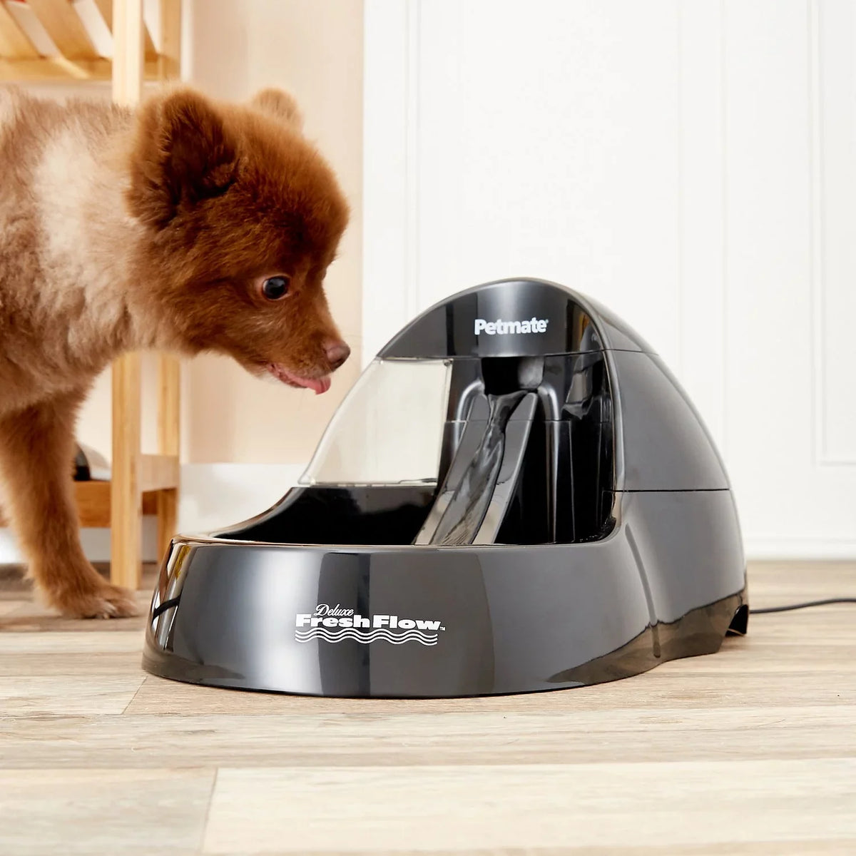 Deluxe Purifying Pet Petmate Fountain liquid Flow Fresh