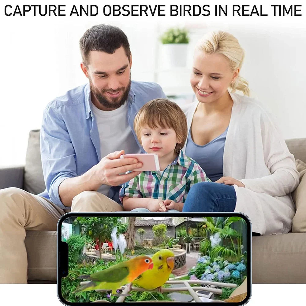 Bird Bird Real-time Smart Capture TF Detection Motion IP65 Bird Cards Species Waterproof Auto WIFI 1080P Carevas Camera Video Notification AI 128G and Identify Feeder