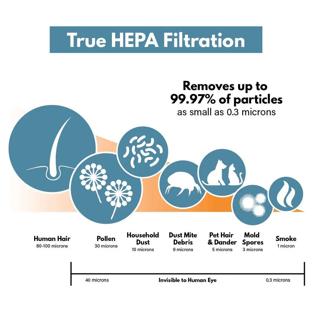 GermGuardian FLT4825 HEPA Purifier Filter Set, Carbon – dimension Filter-Monster Replacement Compatible Filter - with Pre-Filters Air HEPA 4 12 with and B Pack 3 Carbon Filter
