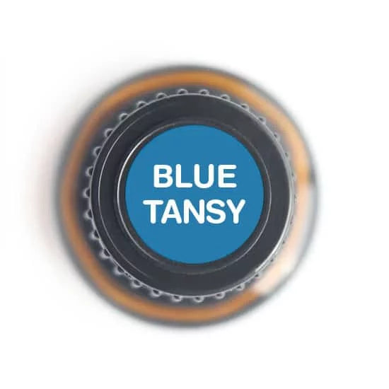 Oil Blue Tansy Essential