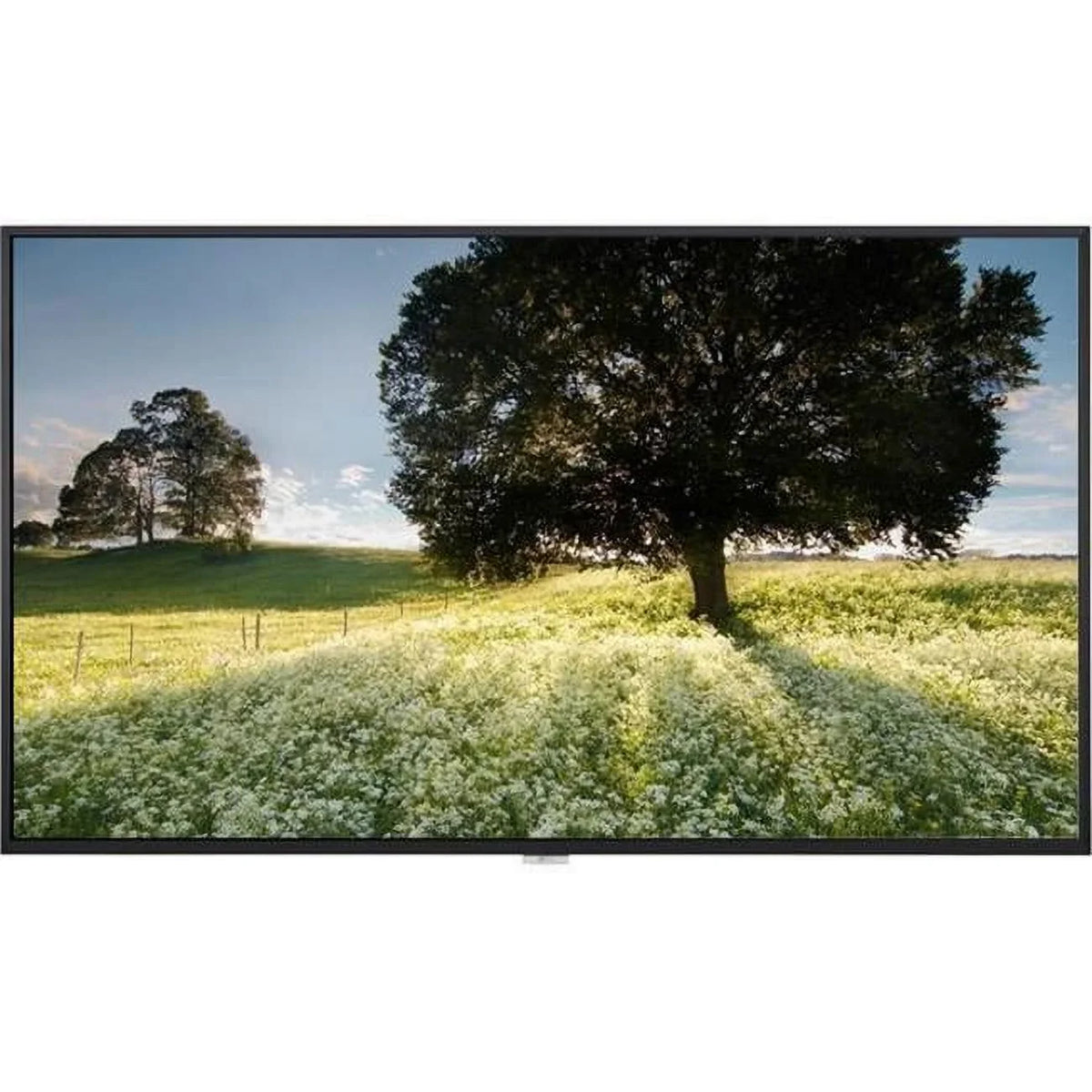 Portrait in. & 3 3840 - 2160 Speaker - 65 x TAA, 7 HDMI x Landscape DP LCD Year 24 - Monitor LED DVI