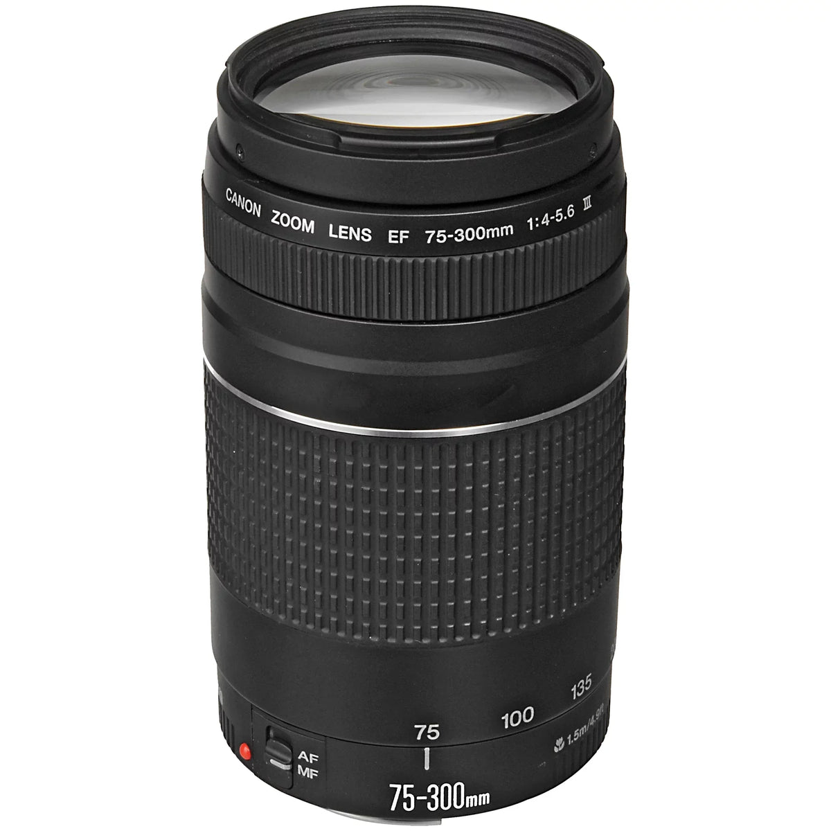 Canon Eos R6 Mirrorless Camera With Rf 24-105Mm Stm + 75-300Mm Lens + Mount Adapter + 64Gb Sandisk + Zeetech Accessory