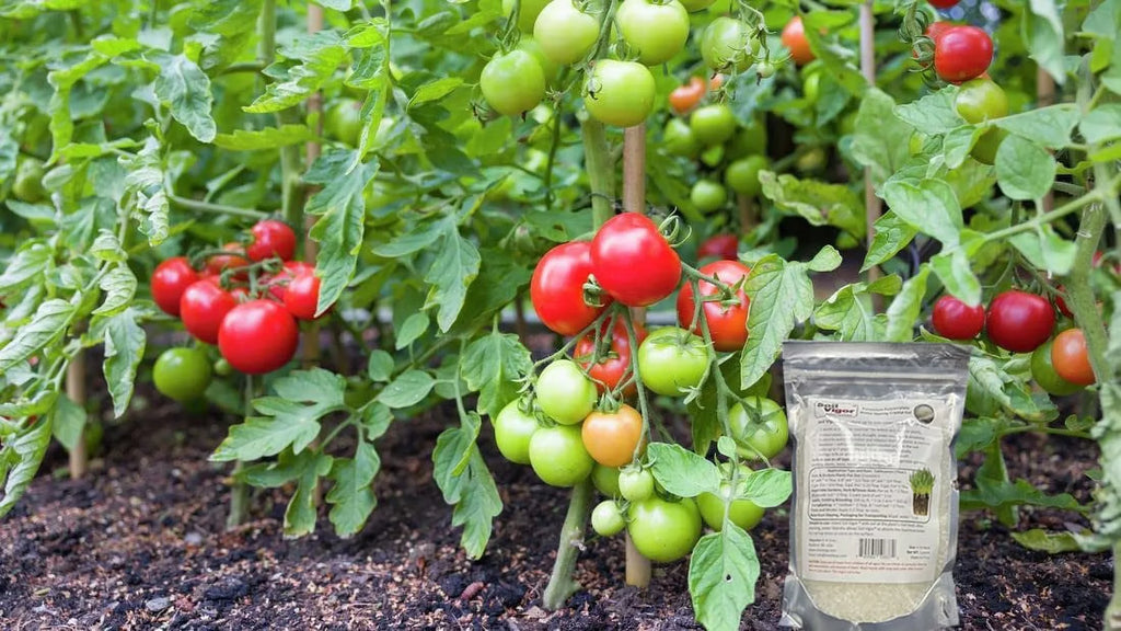 Potassium Polyacrylate Keep Moisture And Regulate The Ph Of Soil For Plant 45 Pounds
