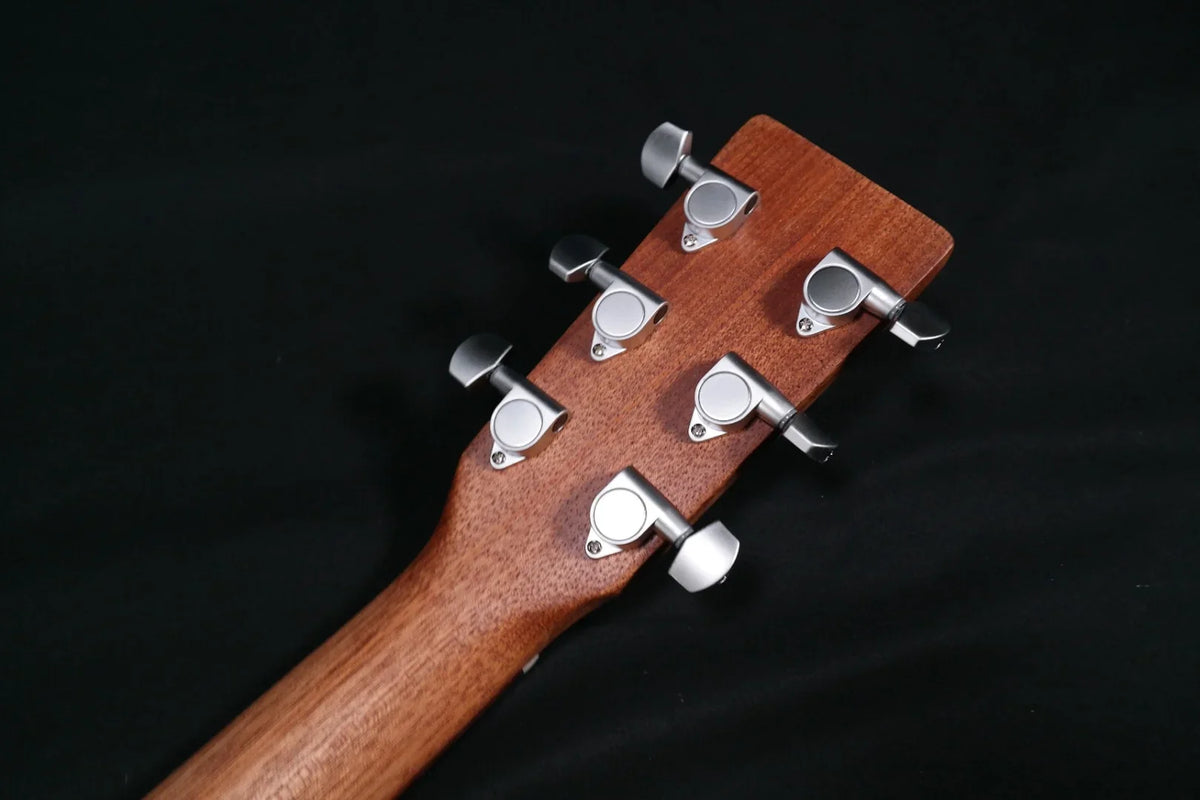with Series D-X2E Re-Imagined Bag 934 Mahogany Gig X Martin