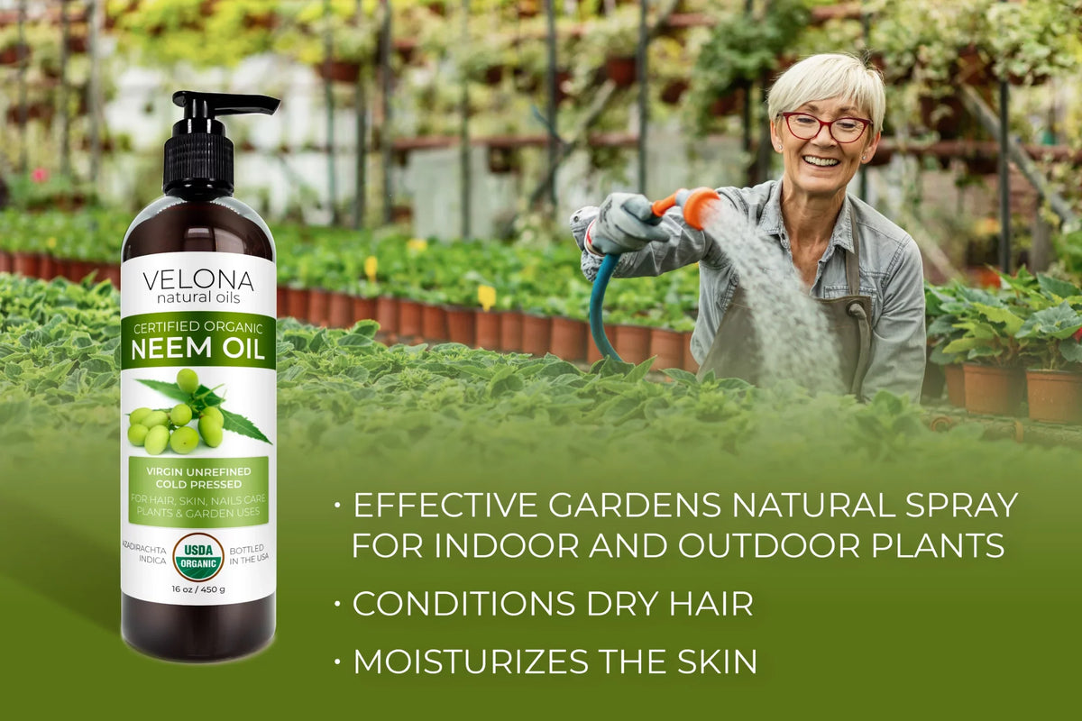 100% Skin Oil Hair, Care and Pressed Use Velona Cold Today - Organic oz | Enjoy | Body 64 Carrier USDA Unrefined, Virgin, | Results Pure - Neem Certified Natural | Oil and