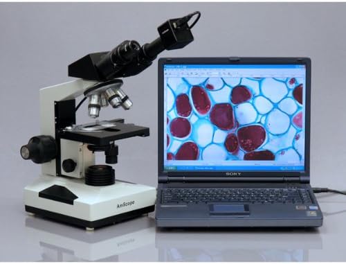 AmScope B490B Compound Binocular Microscope, Brightfield, White
