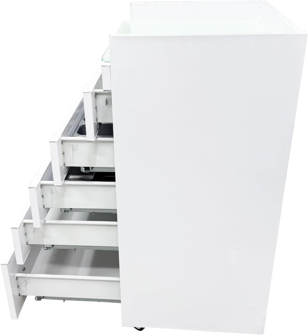 5 Drawer Office File Storage Dental Assistant's Mobile Cabinet