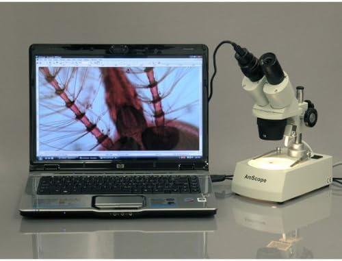 AmScope SE306R-PZ Forward Binocular Stereo Microscope, WF10x and WF20x