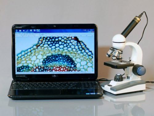 AmScope M150C-MS 1000X Biological Compound Microscope with Sturdy