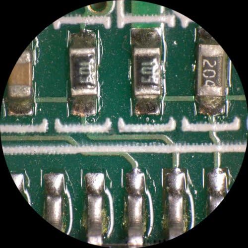 AmScope SE306R-PZ Forward Binocular Stereo Microscope, WF10x and WF20x