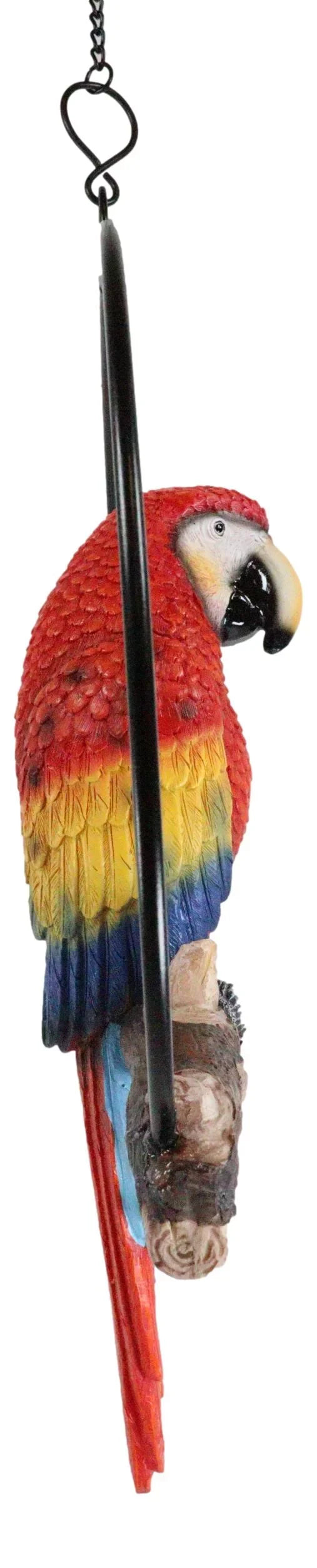 13.5"H on Scarlet Metal Hanging Round in Perching Macaw Ebros Parrot Branch Ring
