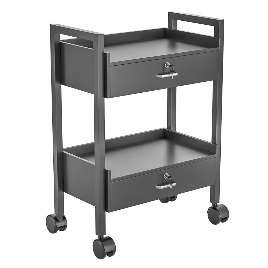Paddie Salon Trolley Cart, Salon Tray Wooden Mobile Utility Cabinet with 2 Lockable Drawers, Rolling Storage Station Medical Esthetic Supply Holder for Beauty Spa (2 Drawers, White)