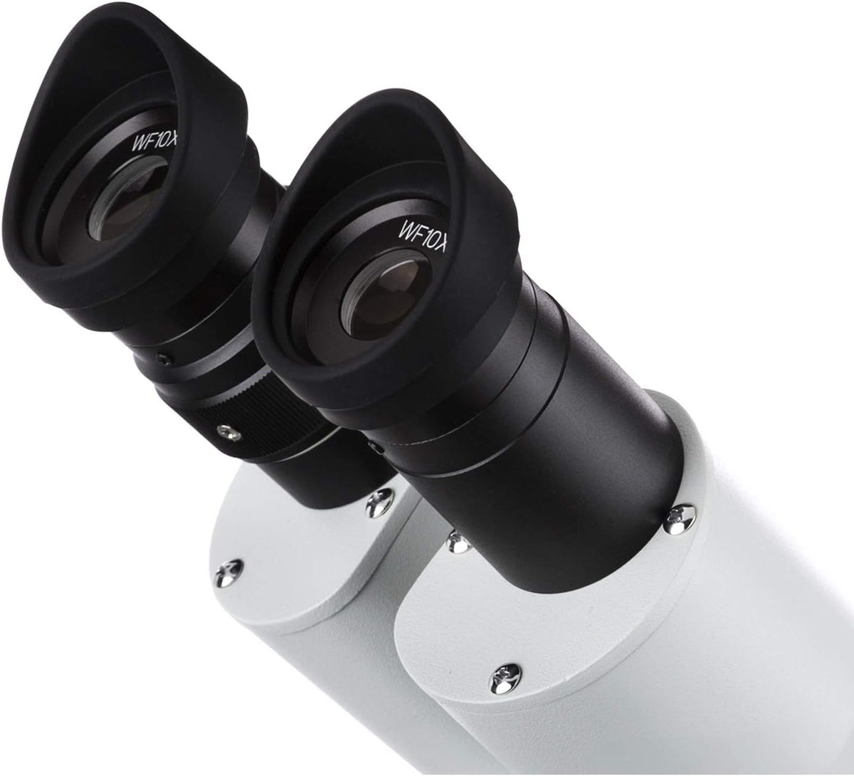 AmScope SE306R-PZ Forward Binocular Stereo Microscope, WF10x and WF20x