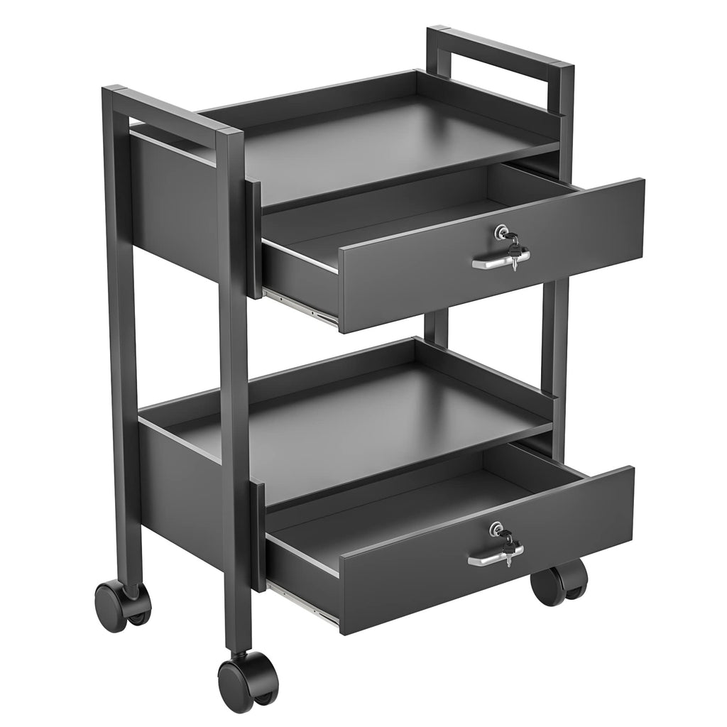 Paddie Salon Trolley Cart, Salon Tray Wooden Mobile Utility Cabinet with 2 Lockable Drawers, Rolling Storage Station Medical Esthetic Supply Holder for Beauty Spa (2 Drawers, White)