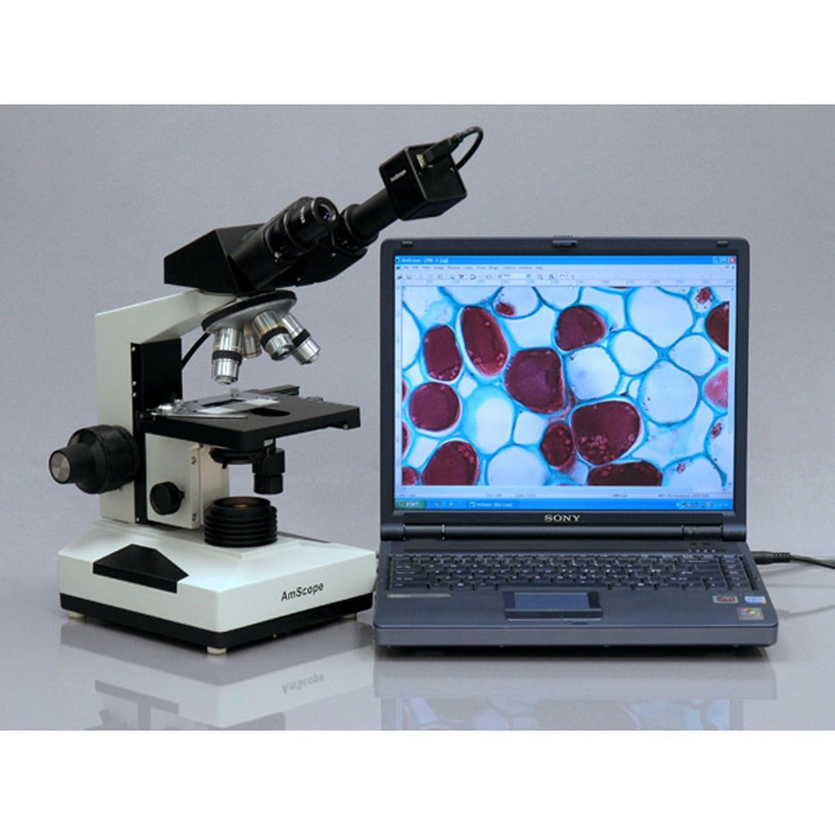 AmScope B490B Compound Binocular Microscope, Brightfield, White