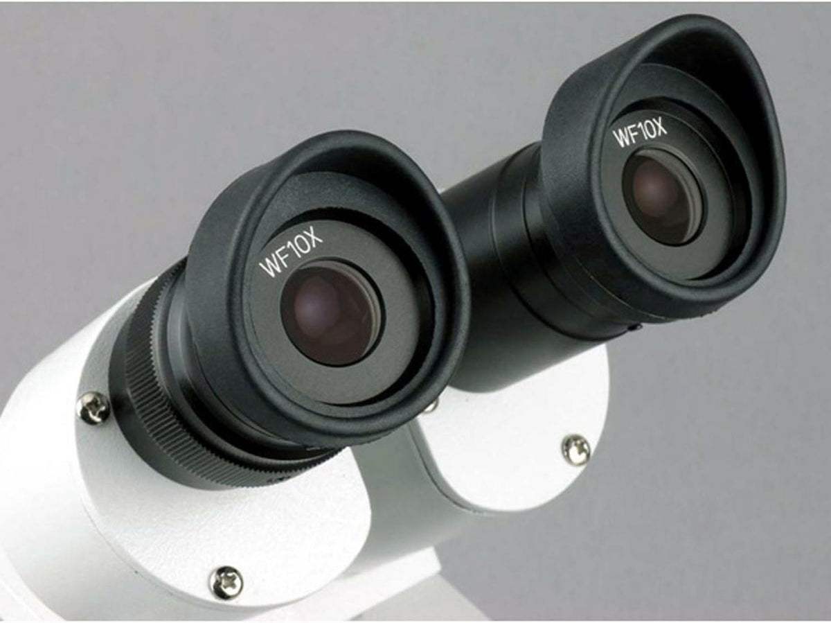AmScope SE306R-PZ Forward Binocular Stereo Microscope, WF10x and WF20x
