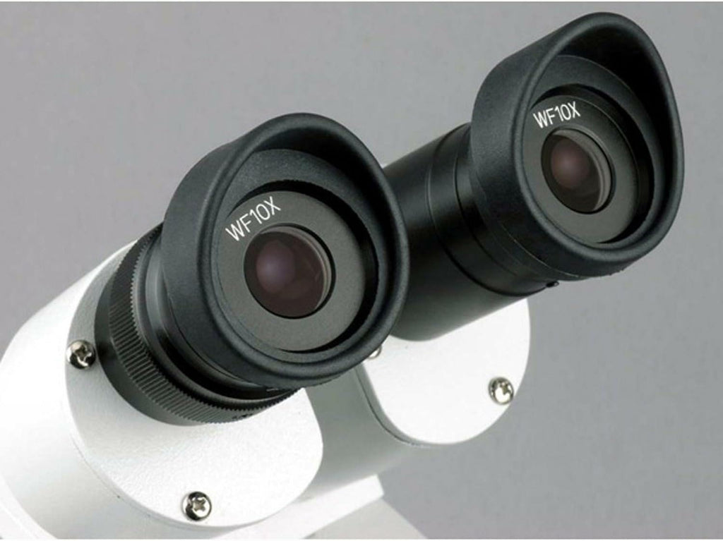 AmScope SE305R-PZ Forward Binocular Stereo Microscope, WF10x and WF20x