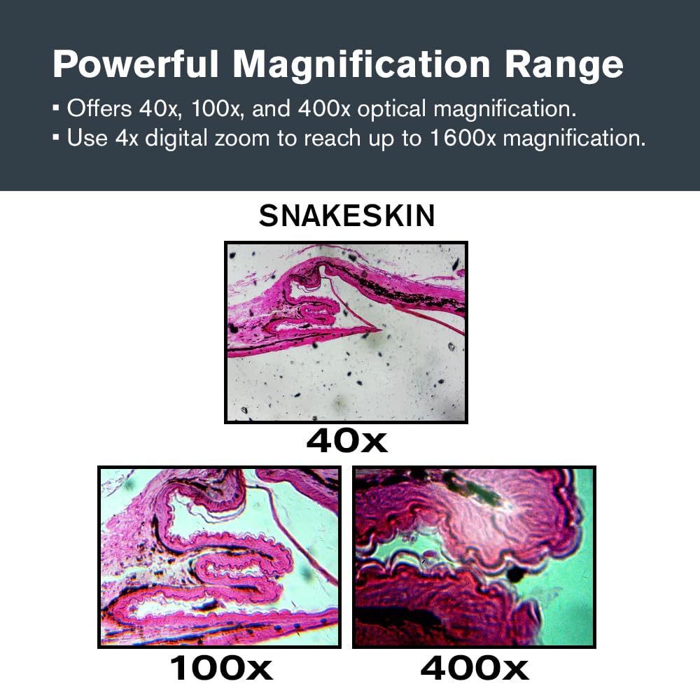 Celestron TetraView LCD Digital Microscope with 180Â° Swivel Screen