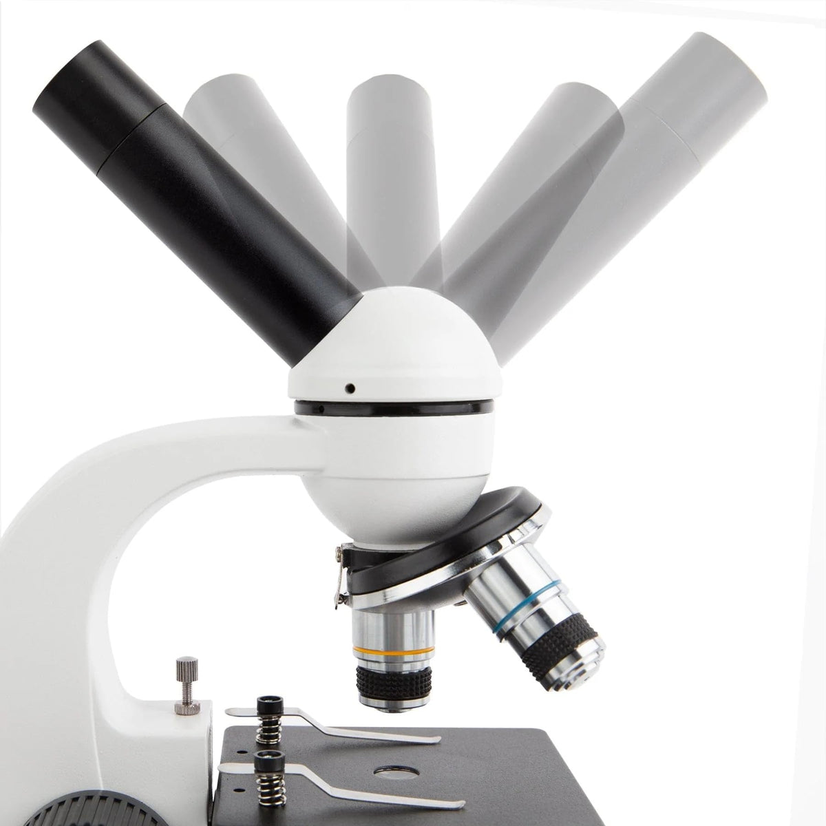 AmScope M158C-2L-E2 Compound Monocular Microscope, 2MP Camera