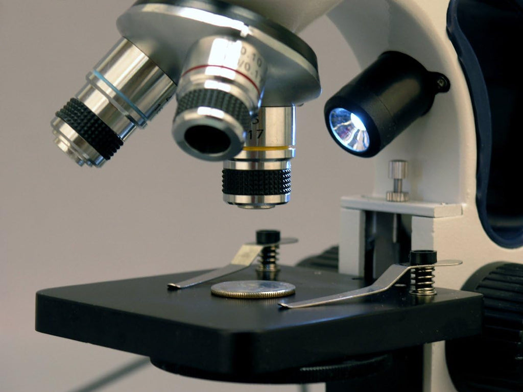 AmScope M158C-2L-E2 Compound Monocular Microscope, 2MP Camera