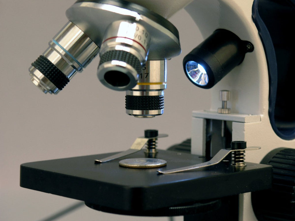 AmScope M158C-2L-E2 Compound Monocular Microscope, 2MP Camera