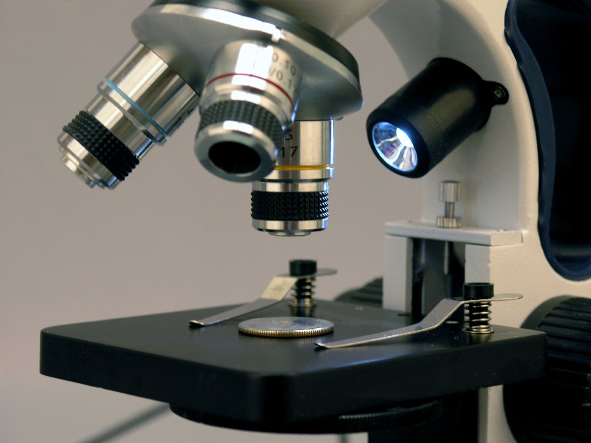 AmScope M158C-2L-E2 Compound Monocular Microscope, 2MP Camera