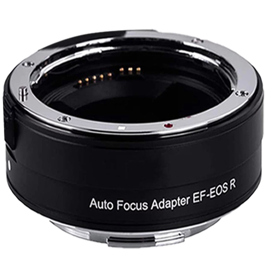 Canon Eos R6 Mirrorless Camera With Rf 24-105Mm Stm + 75-300Mm Lens + Mount Adapter + 64Gb Sandisk + Zeetech Accessory