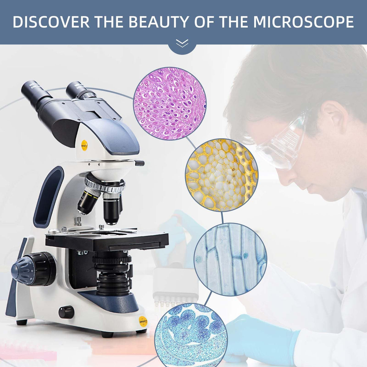 SWIFT SW380B 40X-2500X Magnification, Siedentopf Head, Research-Grade Binocular Compound Lab Microscope with Wide-Field 10X and 25X Eyepieces, Mechanical Stage, Ultra-Precise Focusing