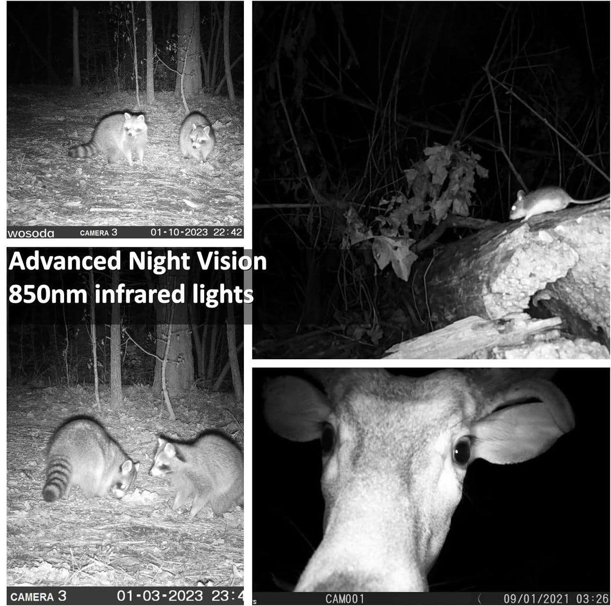 WOSODA 2 Pack Trail Cameras with Night Vision Motion Activated Waterproof,48MP Game Camera,1080P HD Trail Cam with SD Card for Wildlife Monitoring,Outdoor Scouting & Security(Non-WiFi)