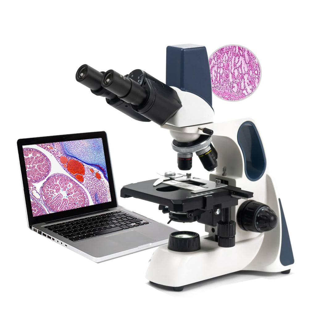 SWIFT SW380B 40X-2500X Magnification, Siedentopf Head, Research-Grade Binocular Compound Lab Microscope with Wide-Field 10X and 25X Eyepieces, Mechanical Stage, Ultra-Precise Focusing