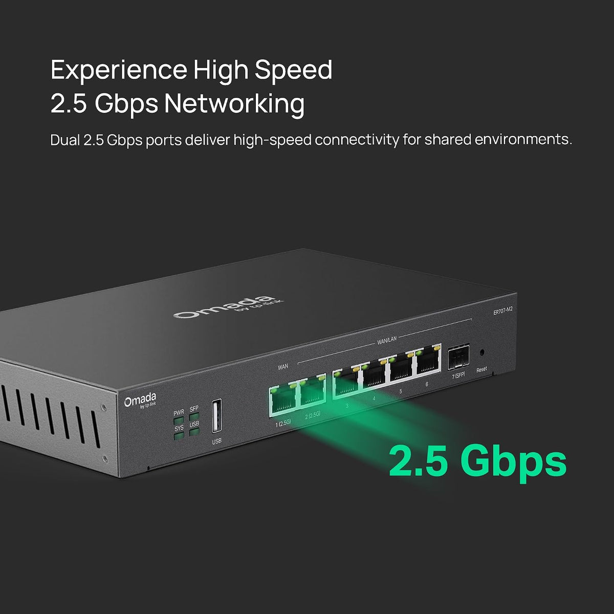 Omada ER707-M2, Multi-Gigabit VPN Route
