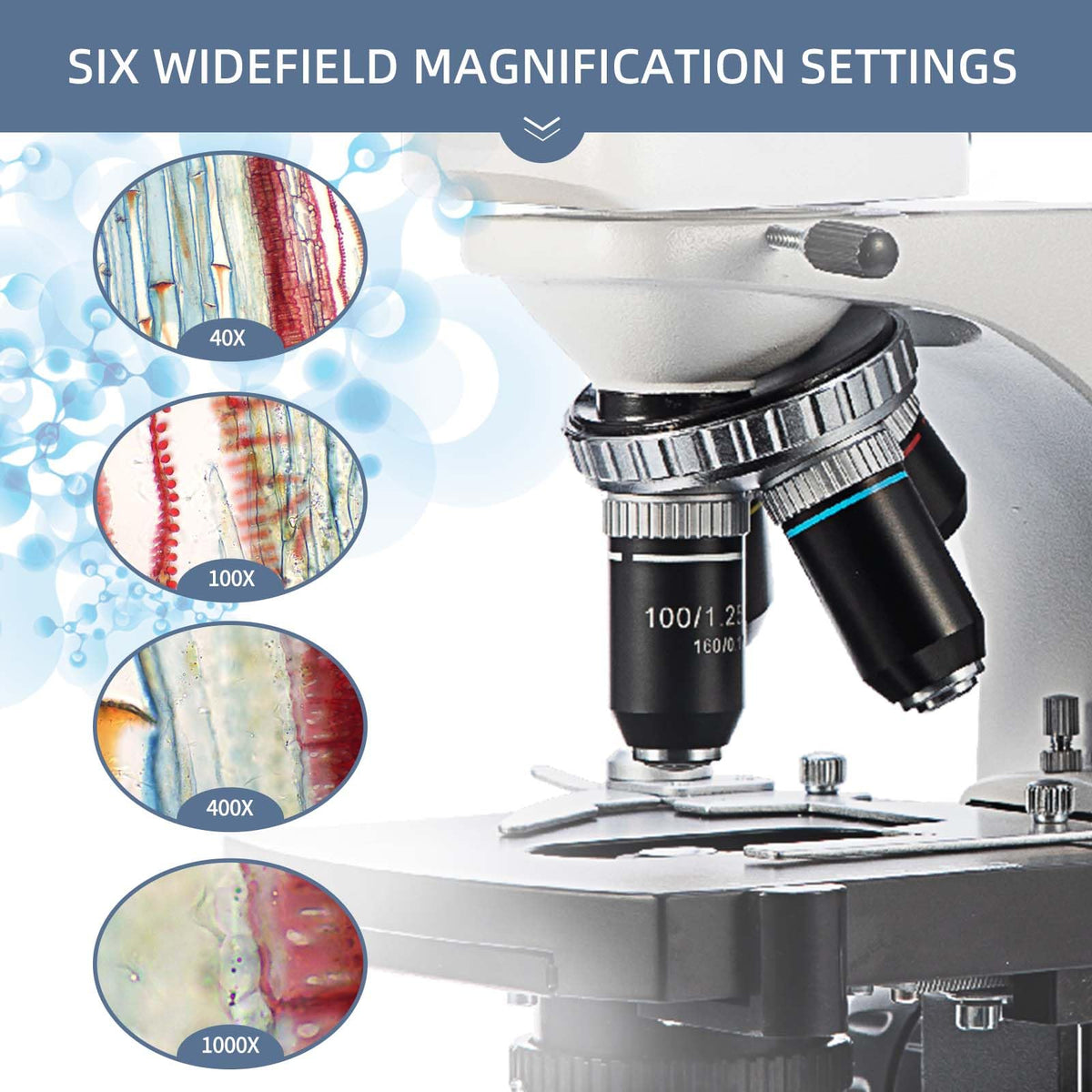 SWIFT SW380B 40X-2500X Magnification, Siedentopf Head, Research-Grade Binocular Compound Lab Microscope with Wide-Field 10X and 25X Eyepieces, Mechanical Stage, Ultra-Precise Focusing