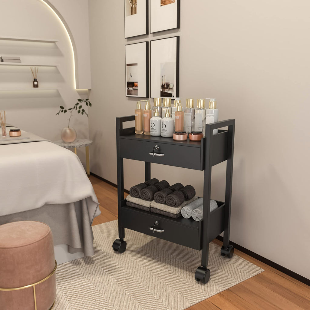 Paddie Salon Trolley Cart, Salon Tray Wooden Mobile Utility Cabinet with 2 Lockable Drawers, Rolling Storage Station Medical Esthetic Supply Holder for Beauty Spa (2 Drawers, White)