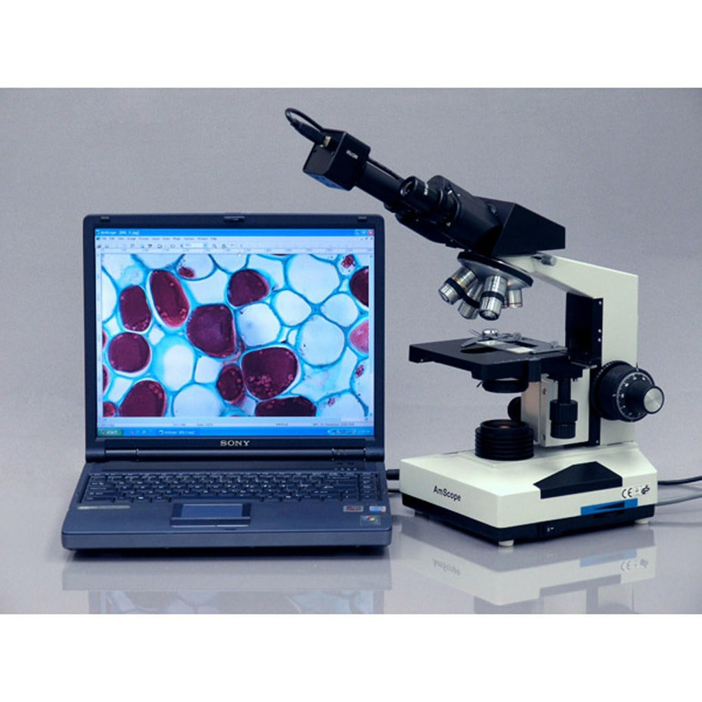 AmScope B490B Compound Binocular Microscope, Brightfield, White
