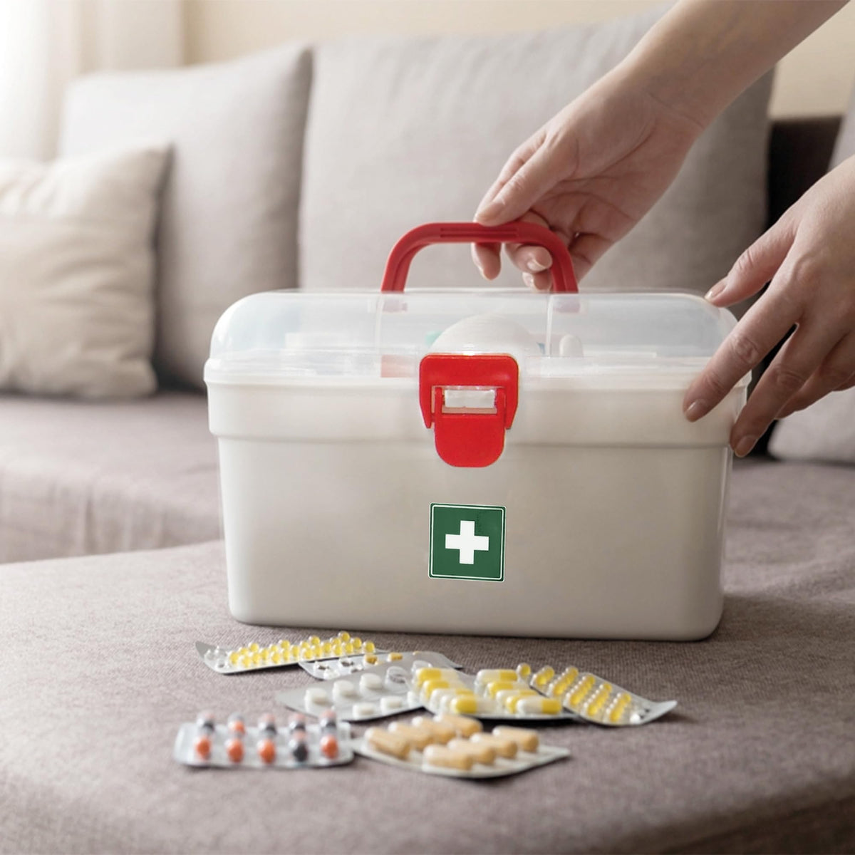 MILTON Plastic Medicine Box, First Aid Box, Set of 6, Small Storage with Handle, Emergency Indoor Outdoor Medical Utility Cabinet Organizer, Transparent, Portable Lockable & Detachable Tray