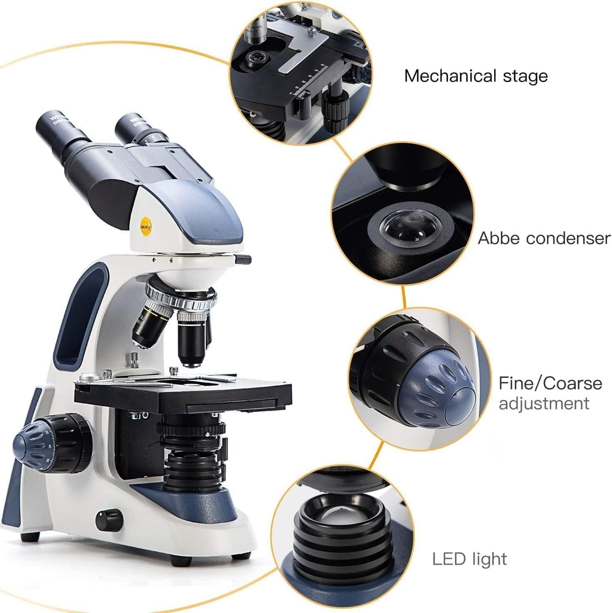 SWIFT SW380B 40X-2500X Magnification, Siedentopf Head, Research-Grade Binocular Compound Lab Microscope with Wide-Field 10X and 25X Eyepieces, Mechanical Stage, Ultra-Precise Focusing