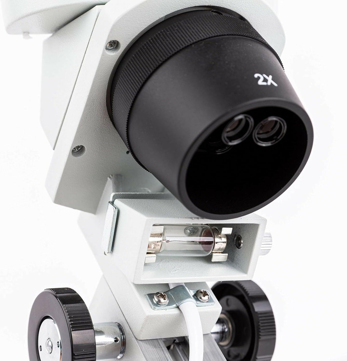 AmScope SE306R-PZ Forward Binocular Stereo Microscope, WF10x and WF20x