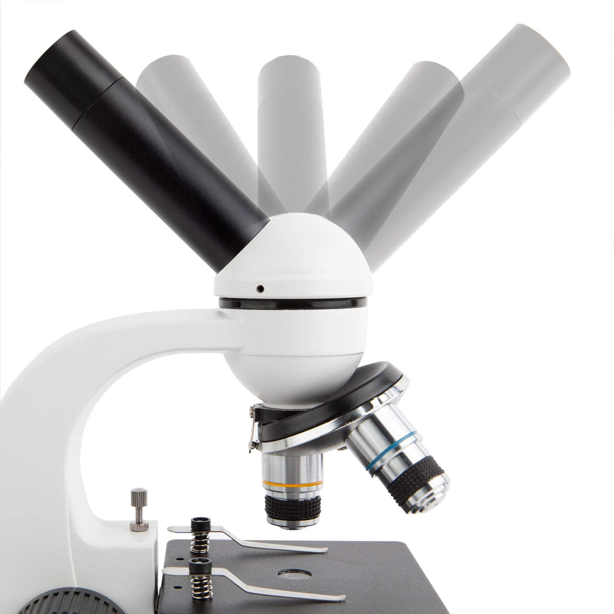 AmScope M158C-2L-E2 Compound Monocular Microscope, 2MP Camera