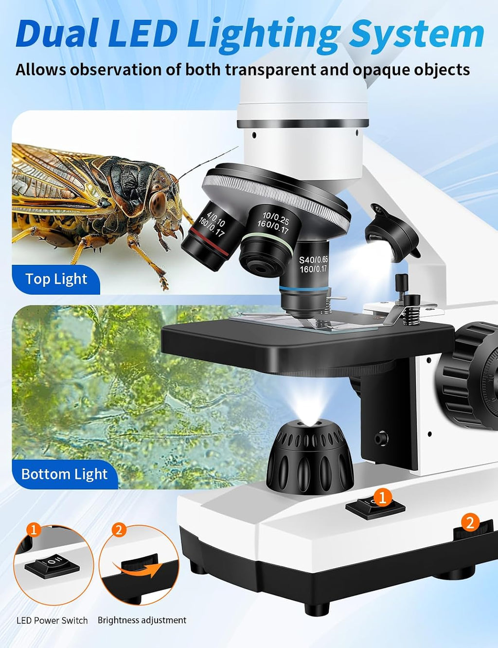Microscope for Adults,WF10x/25x Eyepieces,40xâ2000x Magnification,Up/Down LED,Comes with a Free Experiment Kit & Phone Adapter.Suitable for Students Home and School Lab