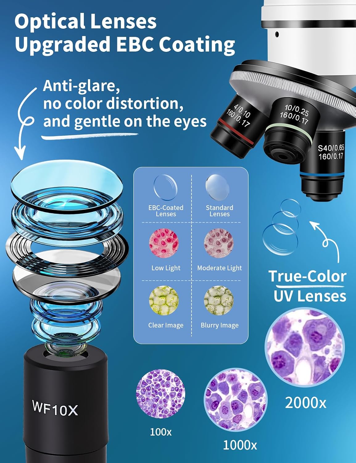 Microscope for Adults,WF10x/25x Eyepieces,40xâ2000x Magnification,Up/Down LED,Comes with a Free Experiment Kit & Phone Adapter.Suitable for Students Home and School Lab