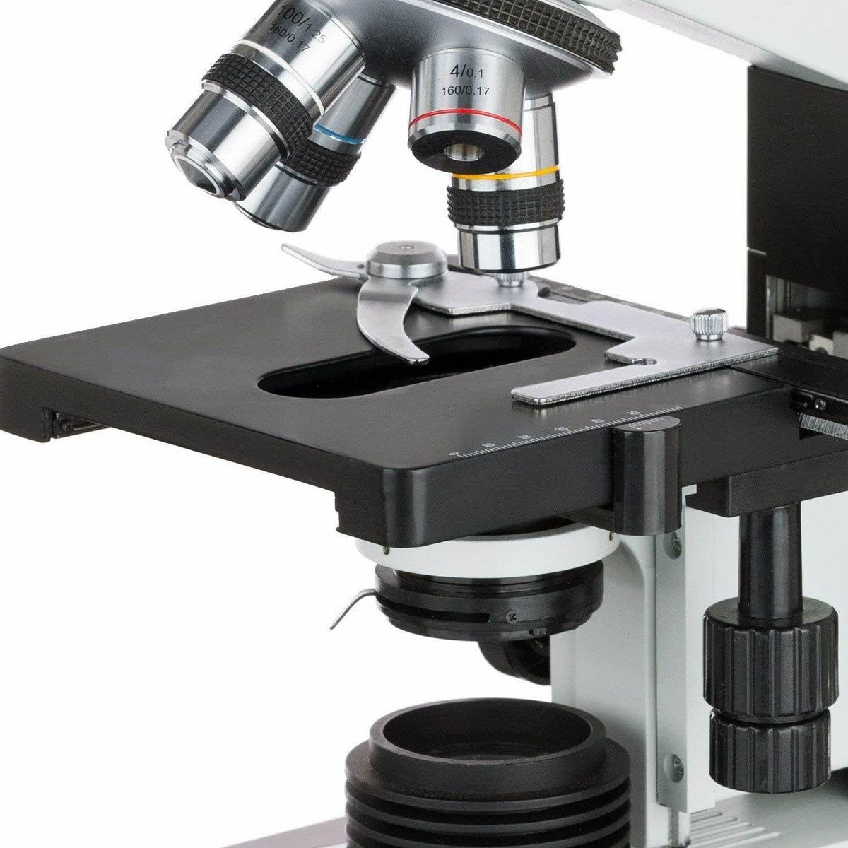 AmScope B490B Compound Binocular Microscope, Brightfield, White
