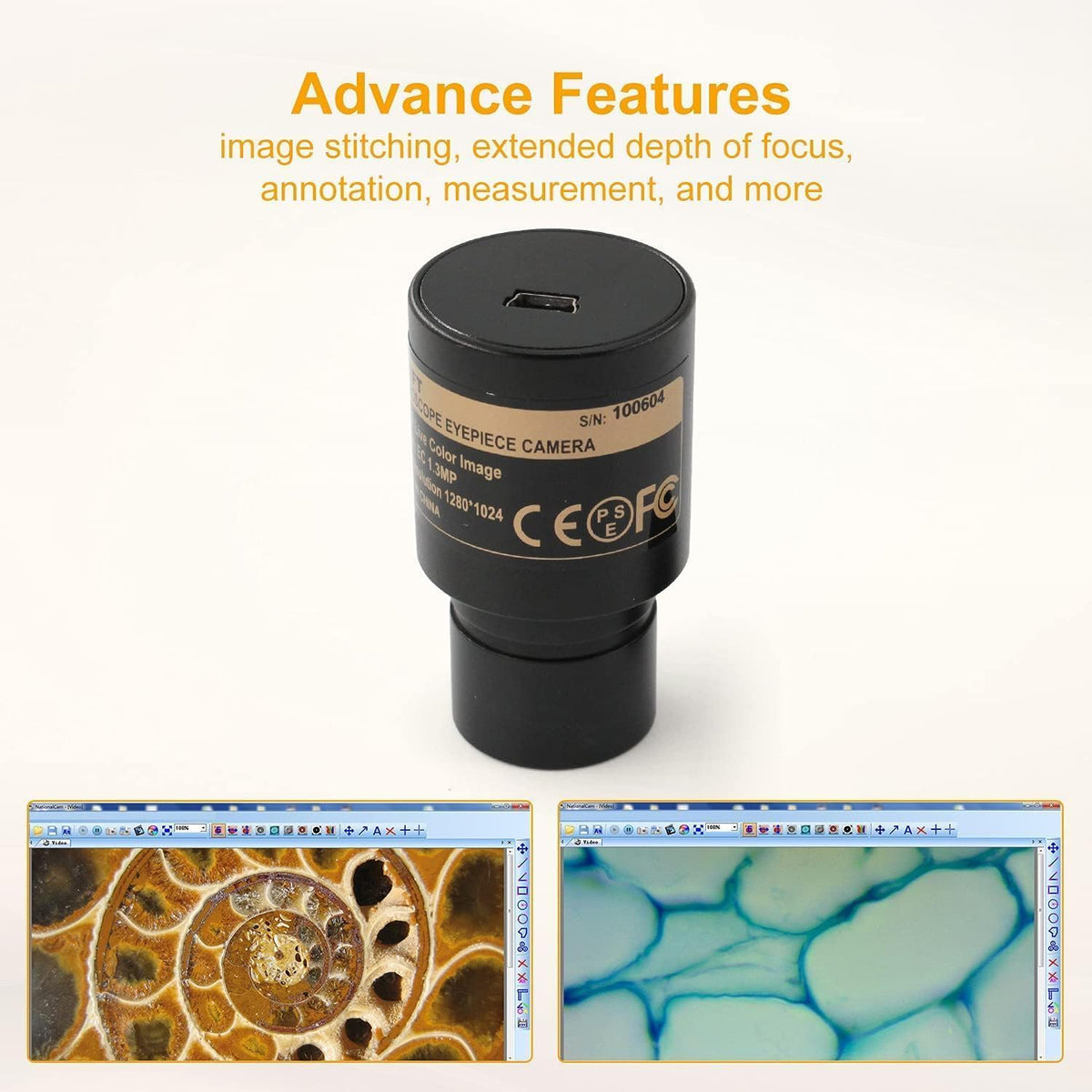 SWIFT SW380B 40X-2500X Magnification, Siedentopf Head, Research-Grade Binocular Compound Lab Microscope with Wide-Field 10X and 25X Eyepieces, Mechanical Stage, Ultra-Precise Focusing