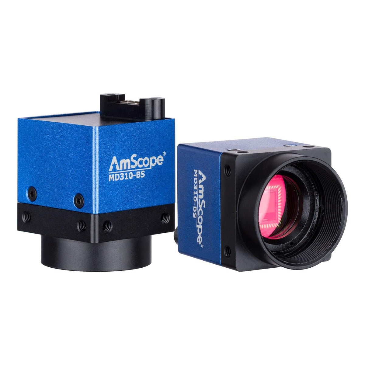 AmScope MD310C-BS USB Microscope Camera, 3.1MP