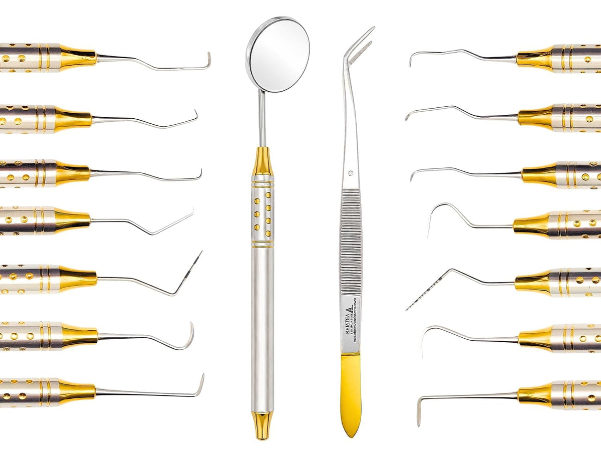 ARTMAN INSTRUMENTS Dental Hygienist Tool Kit (10 PCs) â Includes Mirror, Probe, Tweezer, Scalers, Pocket Probe, Curettes â Prophylaxis Teeth Cleaning Set, Autoclavable, with Sterilization Cassette