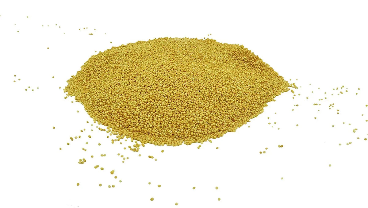 Grain (5LB) Amaranth 100% Whole Organic Seeds
